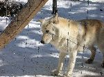 007_2009-0214-1255-15-JoeA.jpg